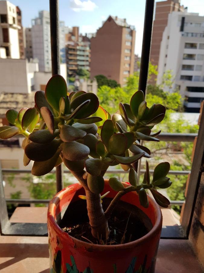 Apartamento Carlucci Córdoba Luaran gambar